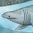 『Basking shark』
